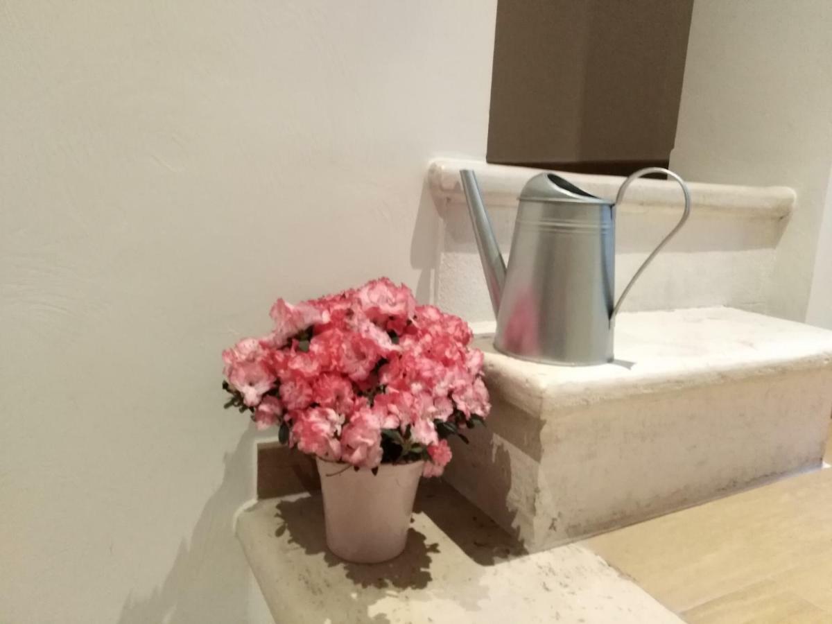 Rosa'S House Villa Конверсано Екстериор снимка